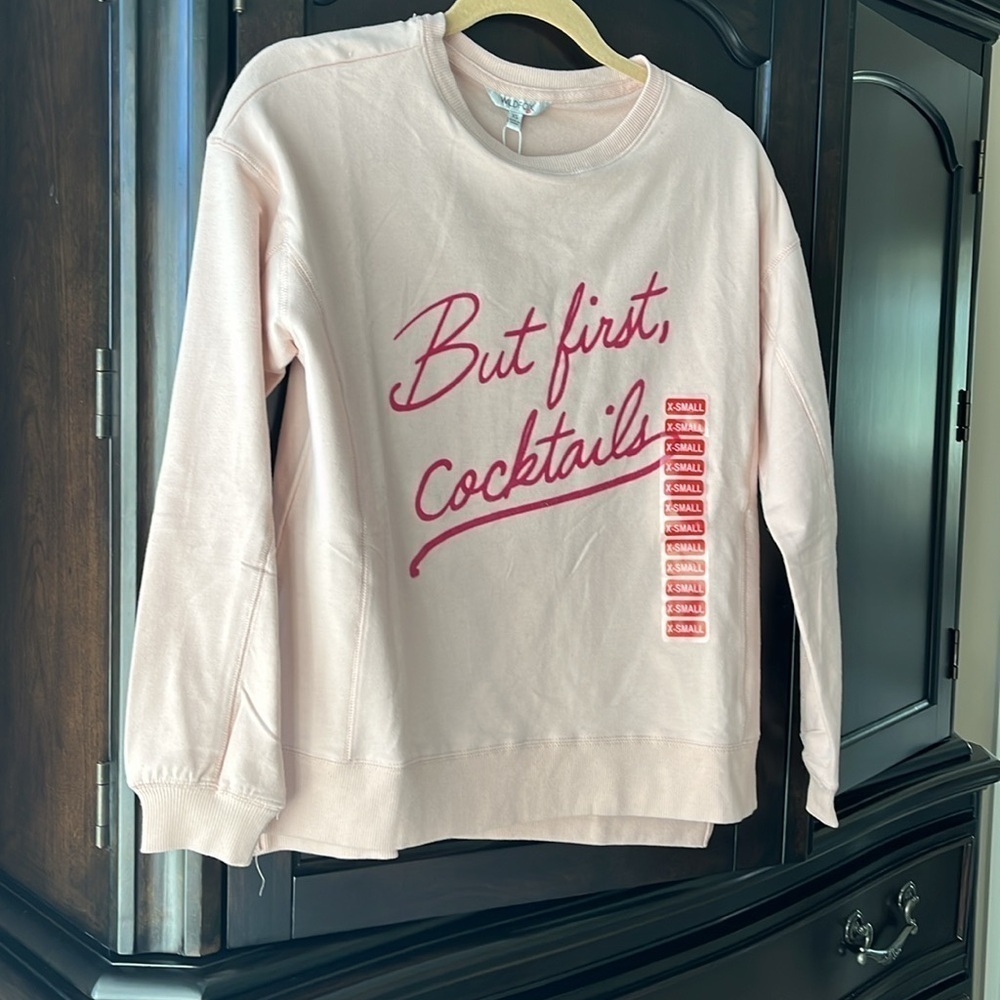 Wildfox sweatshirt
